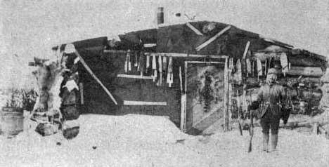 From: Harding, A. (1906). Mink trapping: A book of instruction giving many methods of trapping--a valuable book for trappers. Columbus, Ohio: Harding. Public domain. 